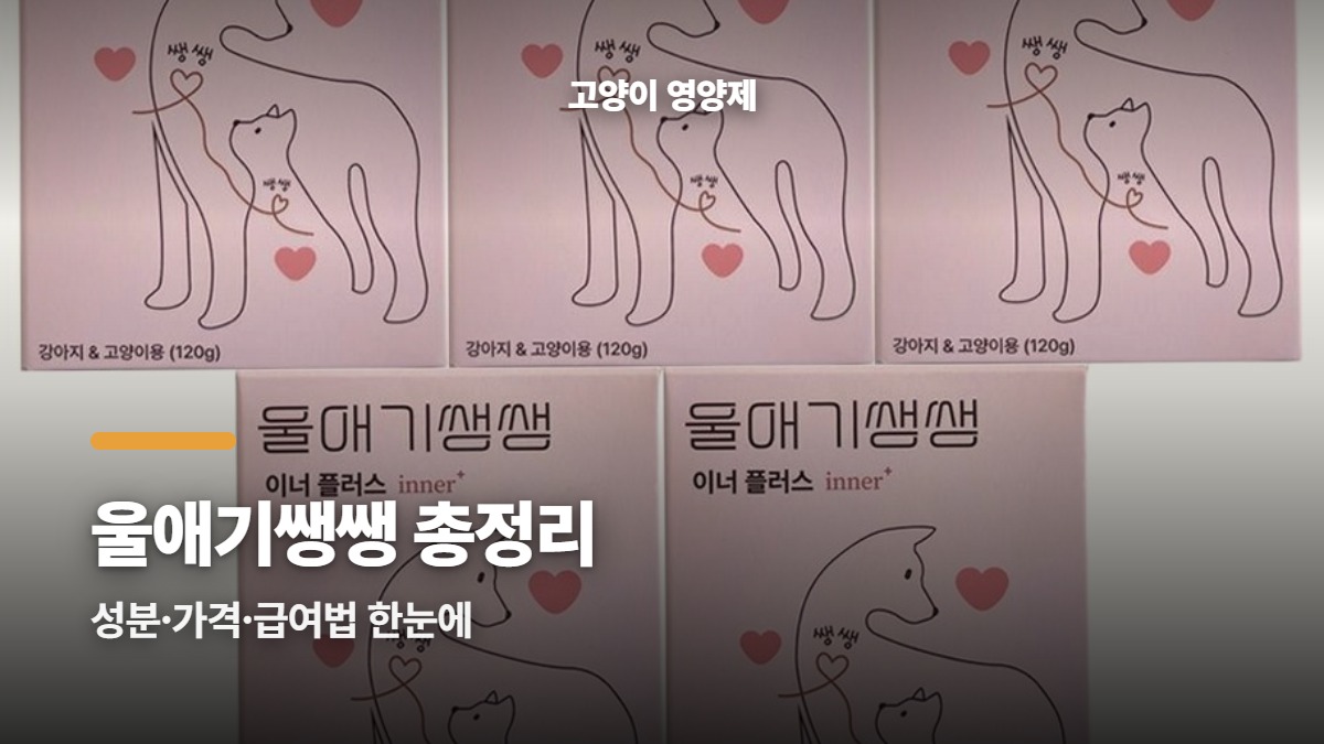 대표썸네일