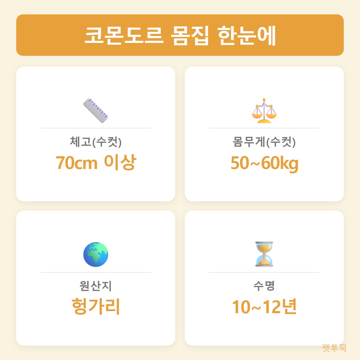 몸집