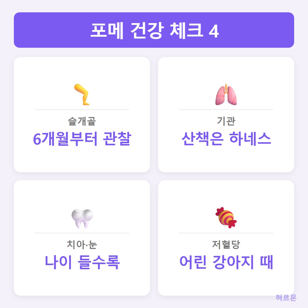 건강체크