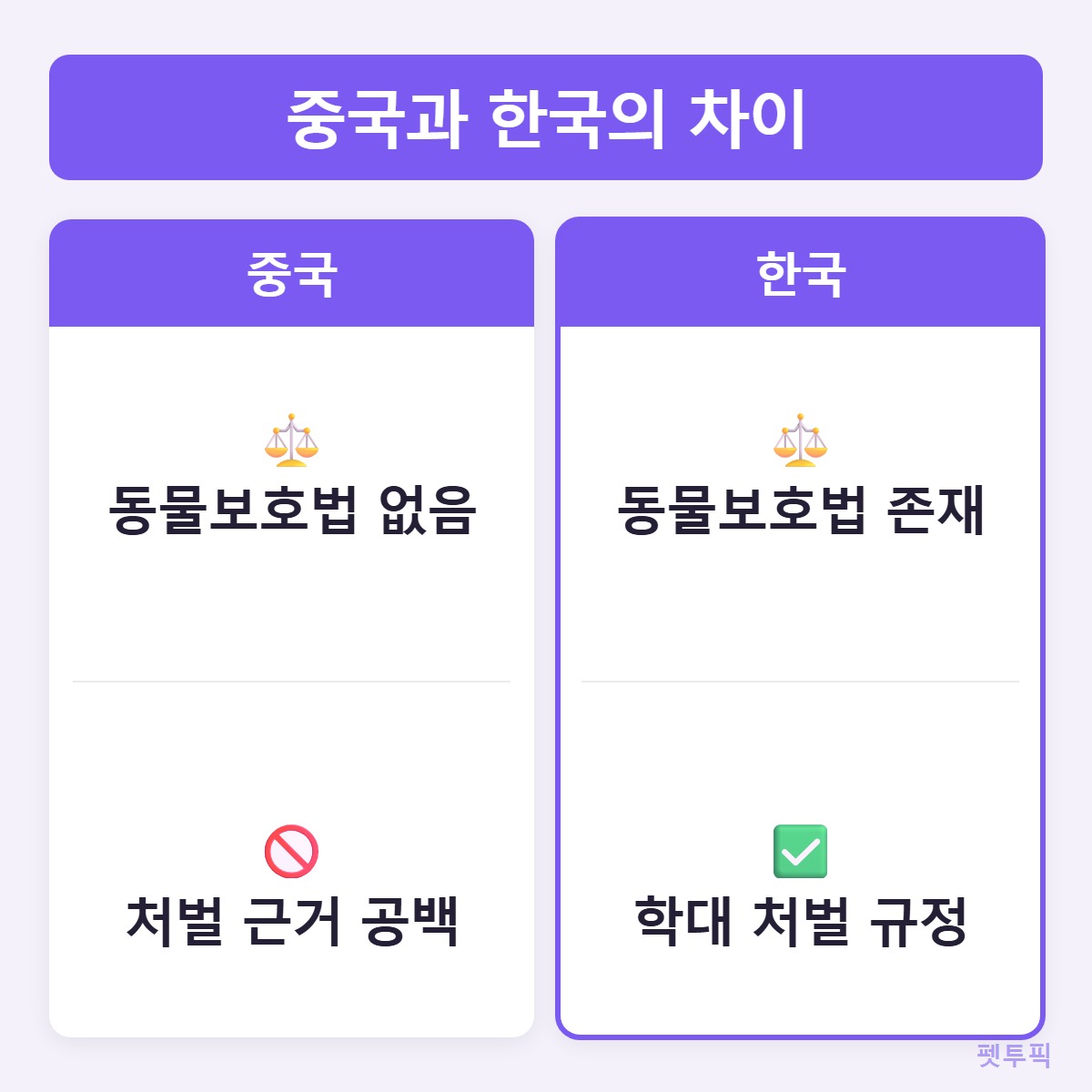 비교