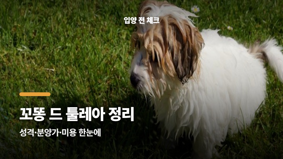 대표썸네일