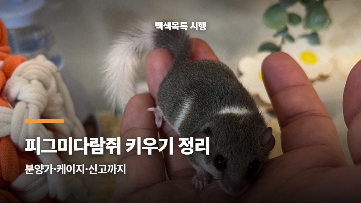 대표썸네일