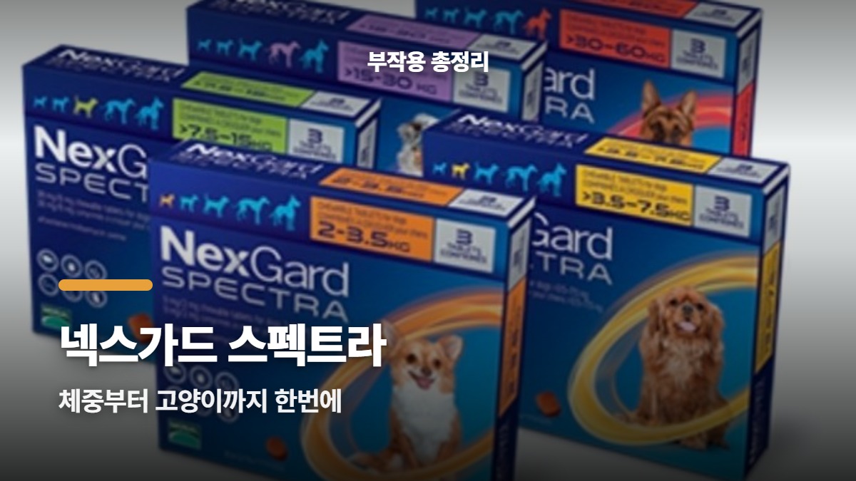 대표썸네일
