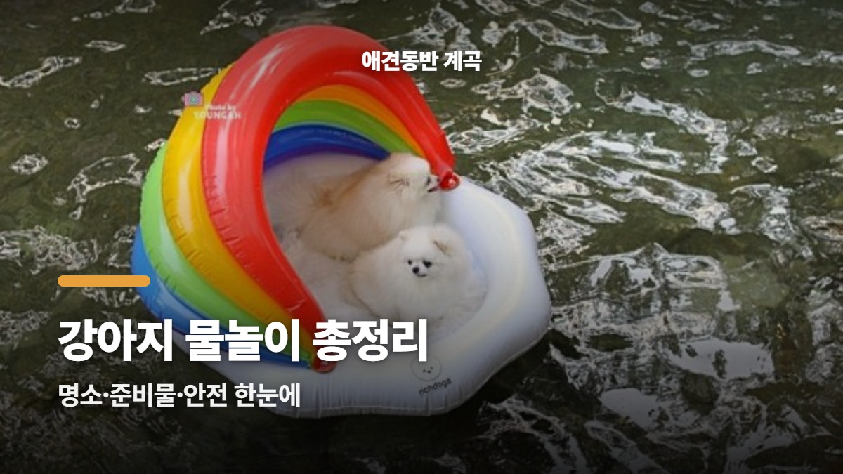 대표썸네일