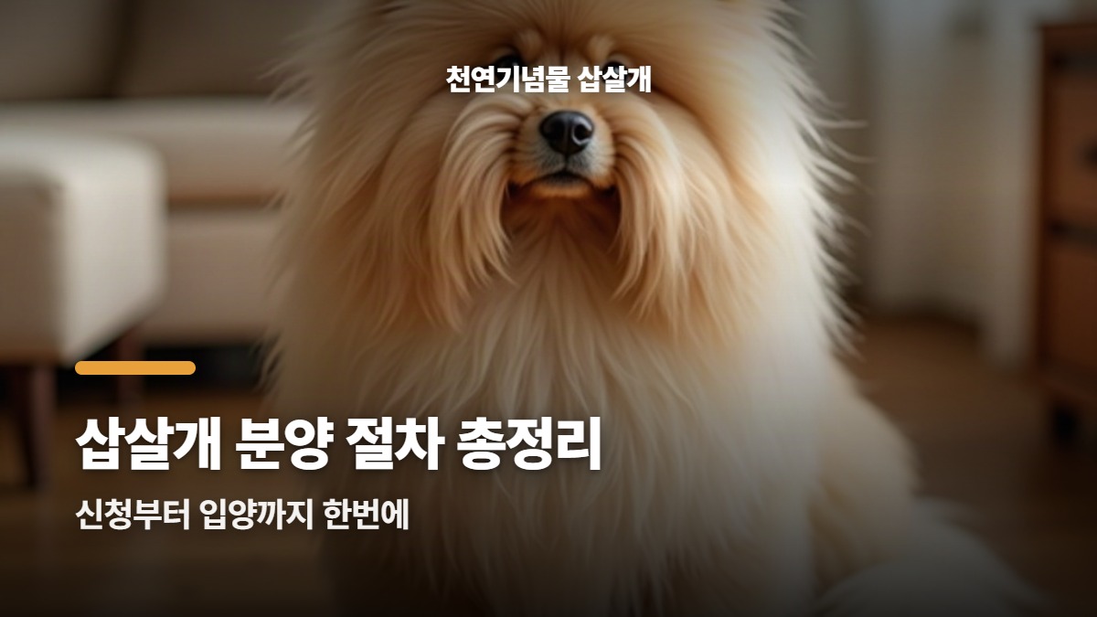 대표썸네일