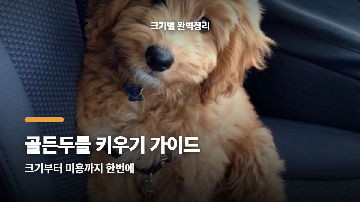 대표썸네일