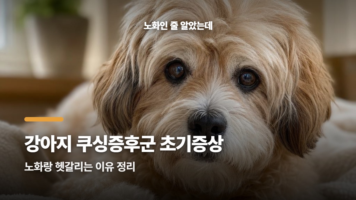 대표썸네일