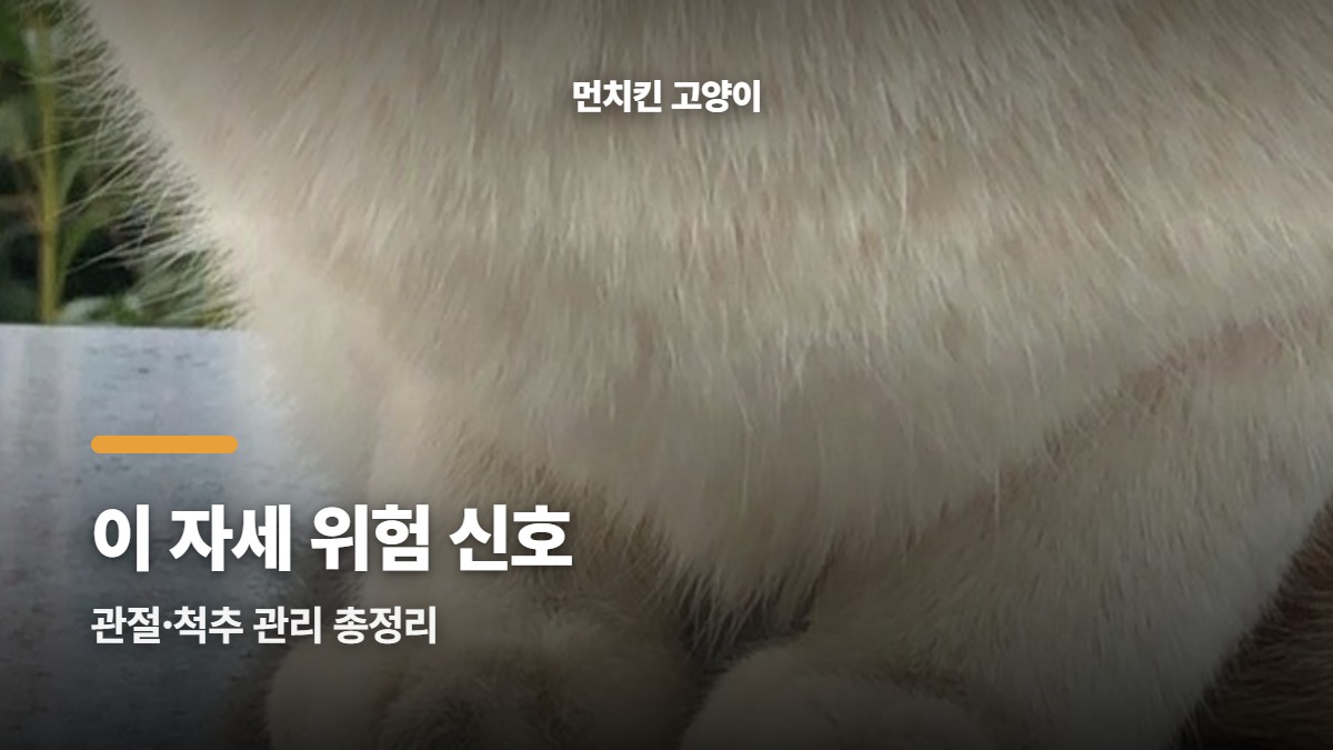 대표썸네일