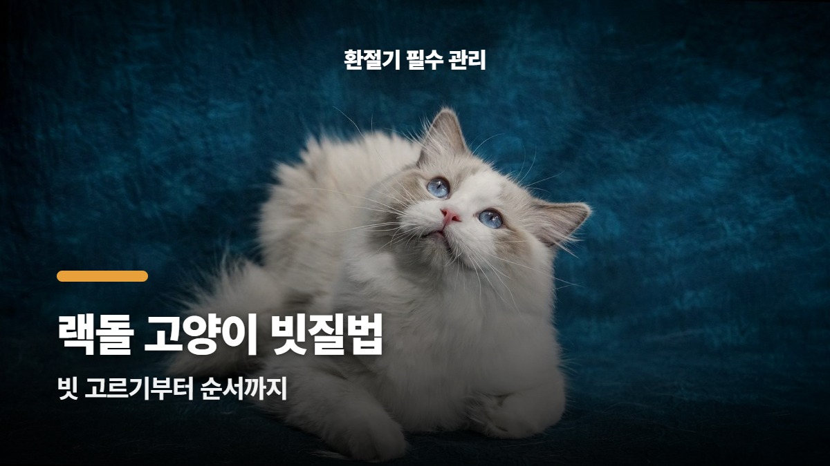 대표썸네일