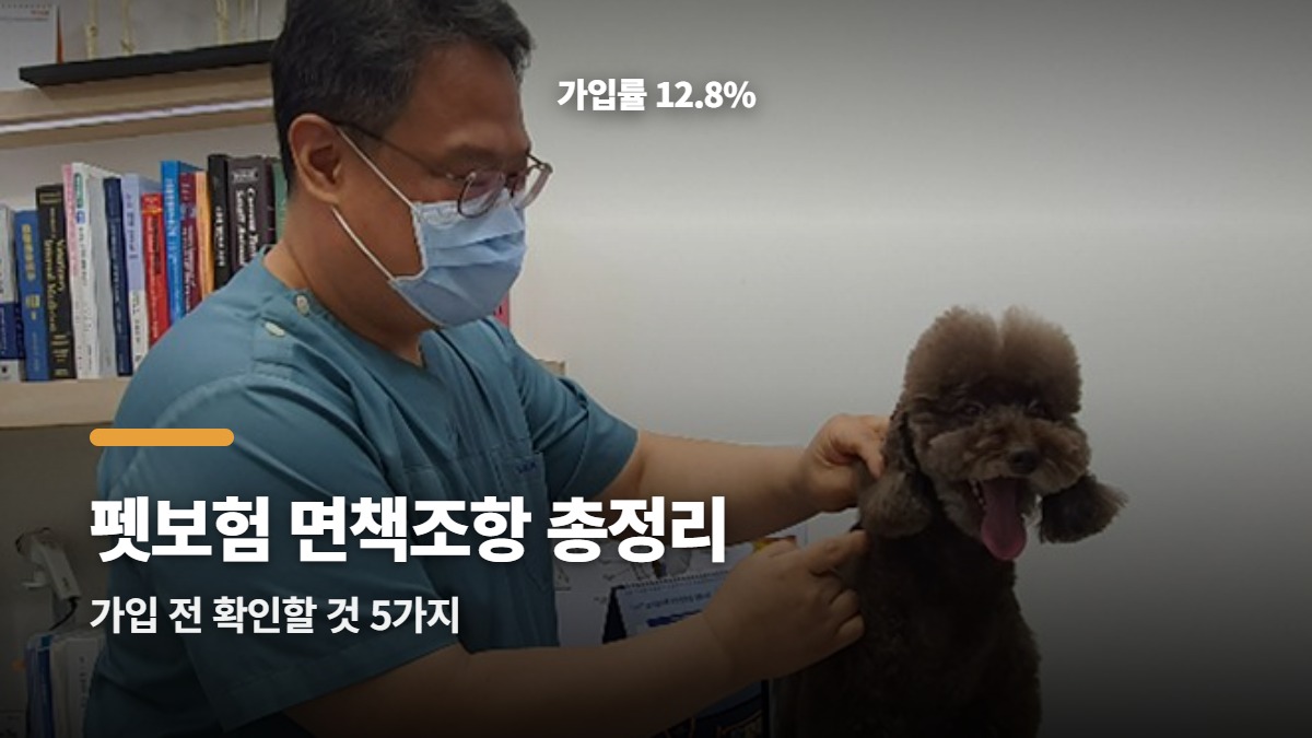 대표썸네일