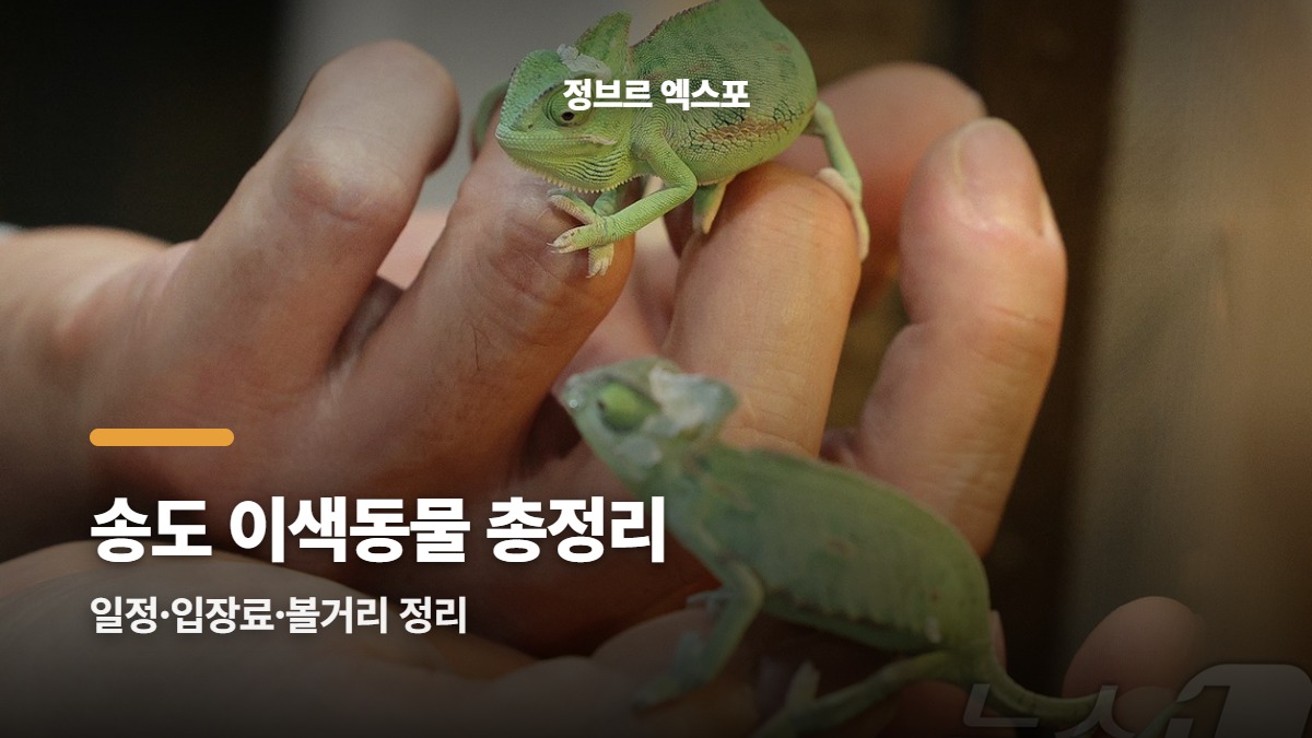 대표썸네일