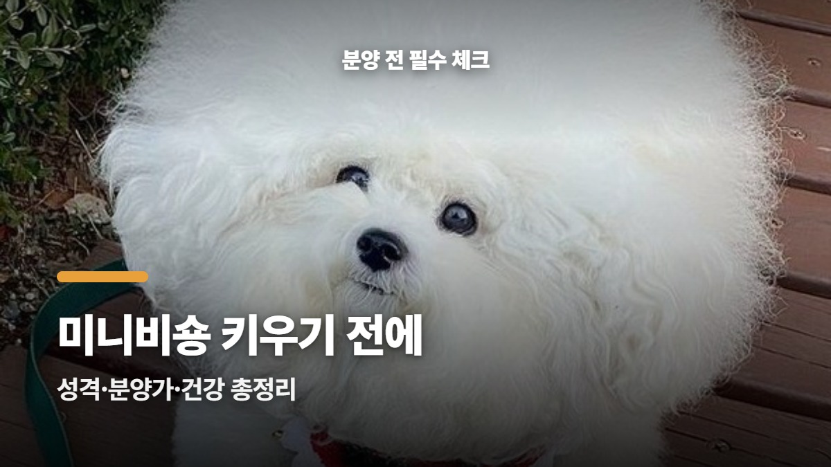 대표썸네일