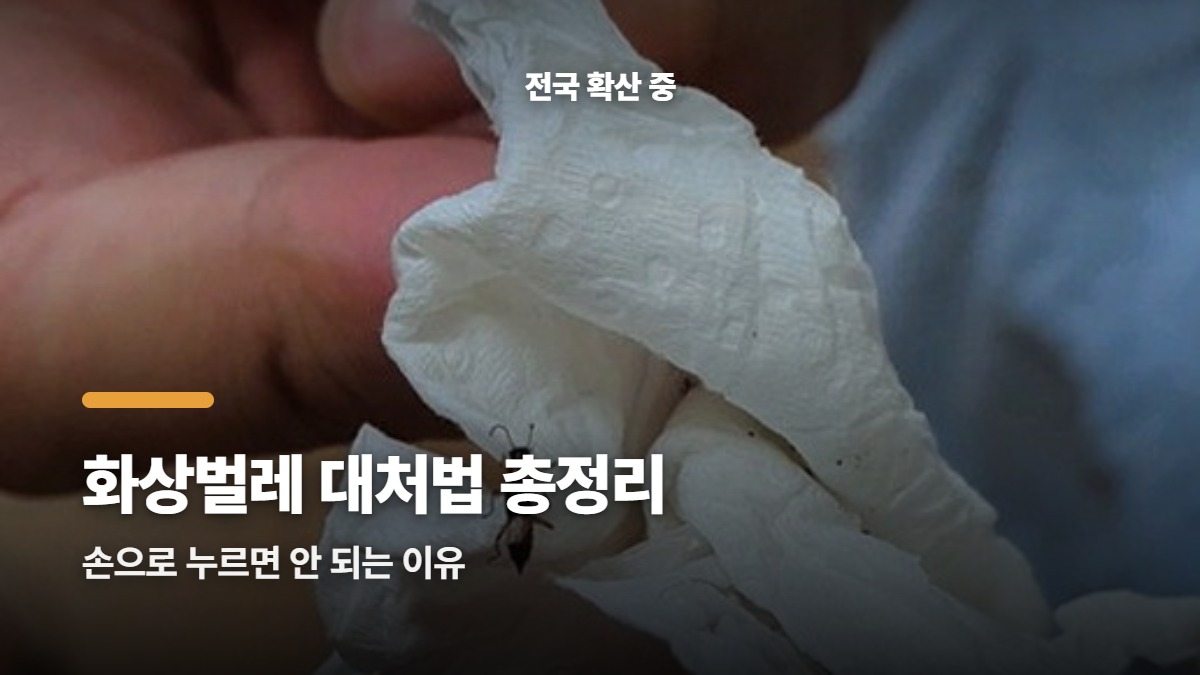 대표썸네일