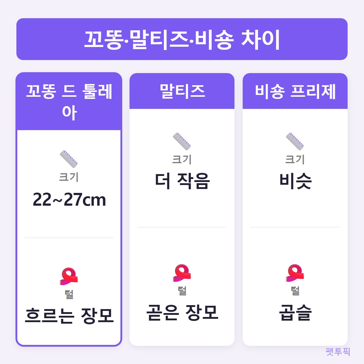 비교