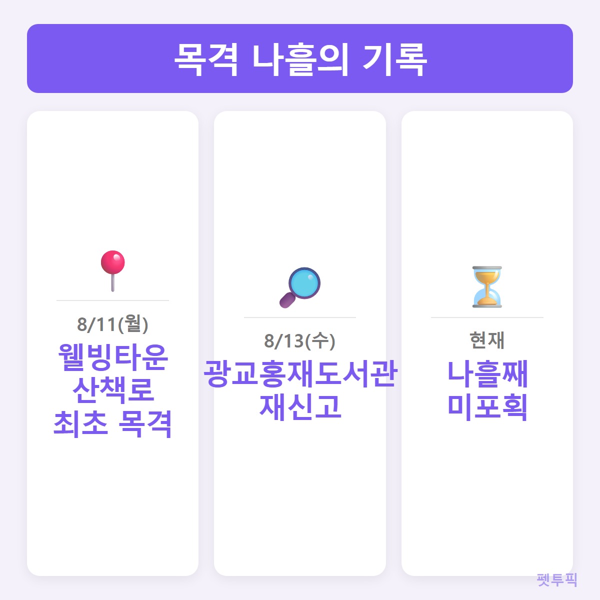 목격타임라인