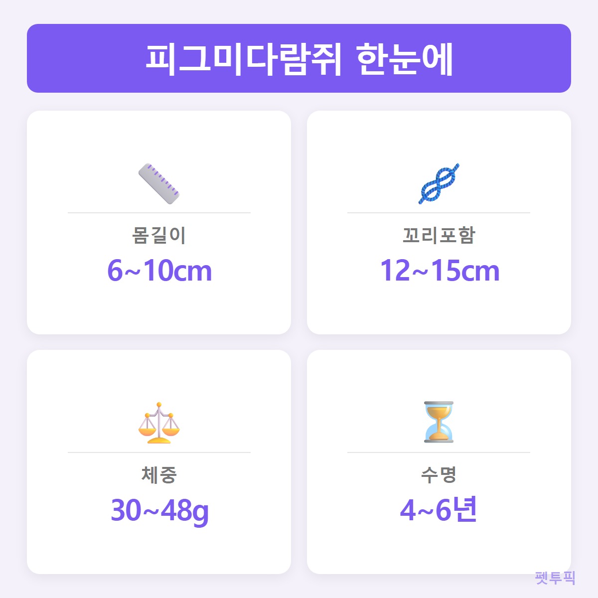 몸집과수명