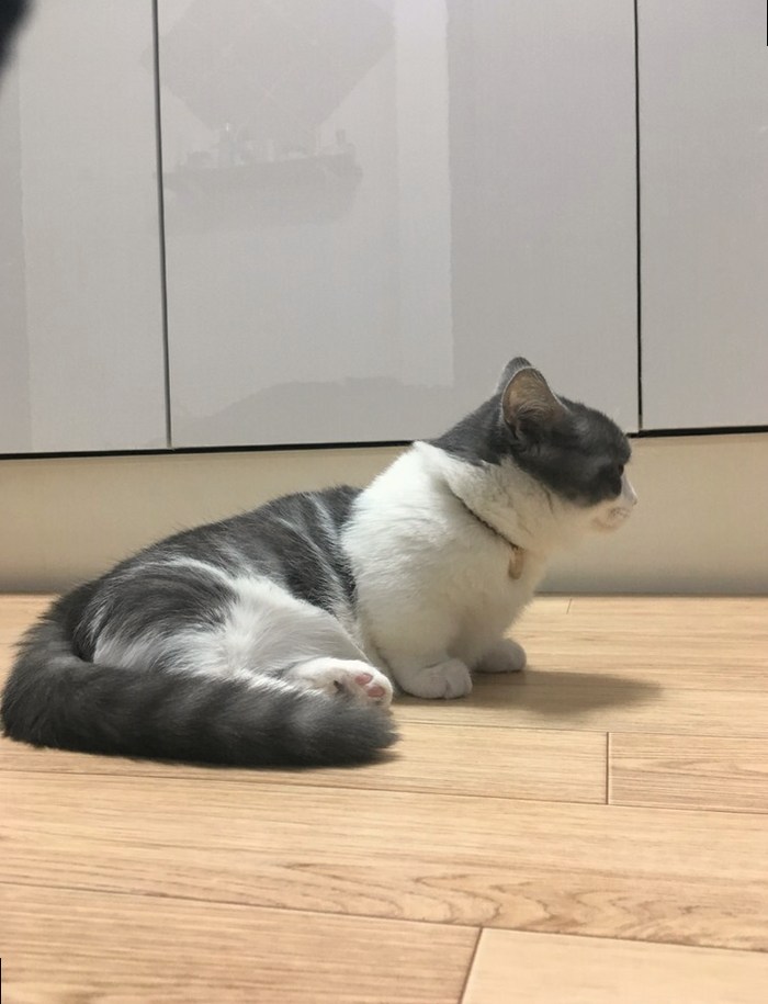 먼치킨자세