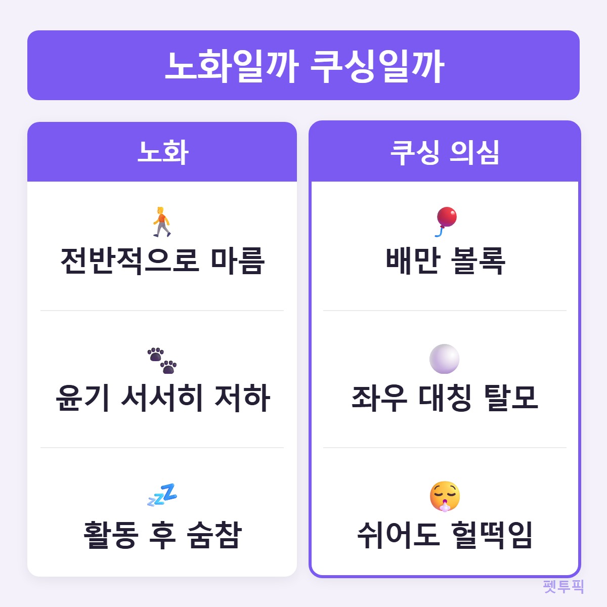 노화vs쿠싱