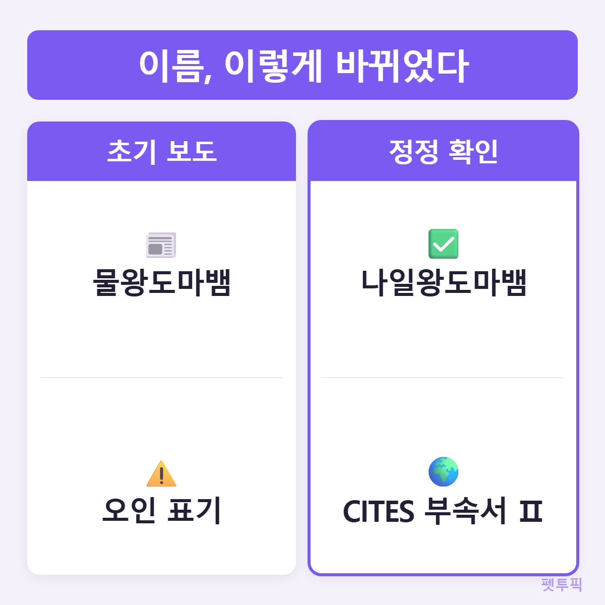 이름정정