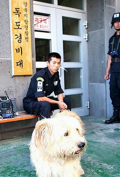 독도삽살개