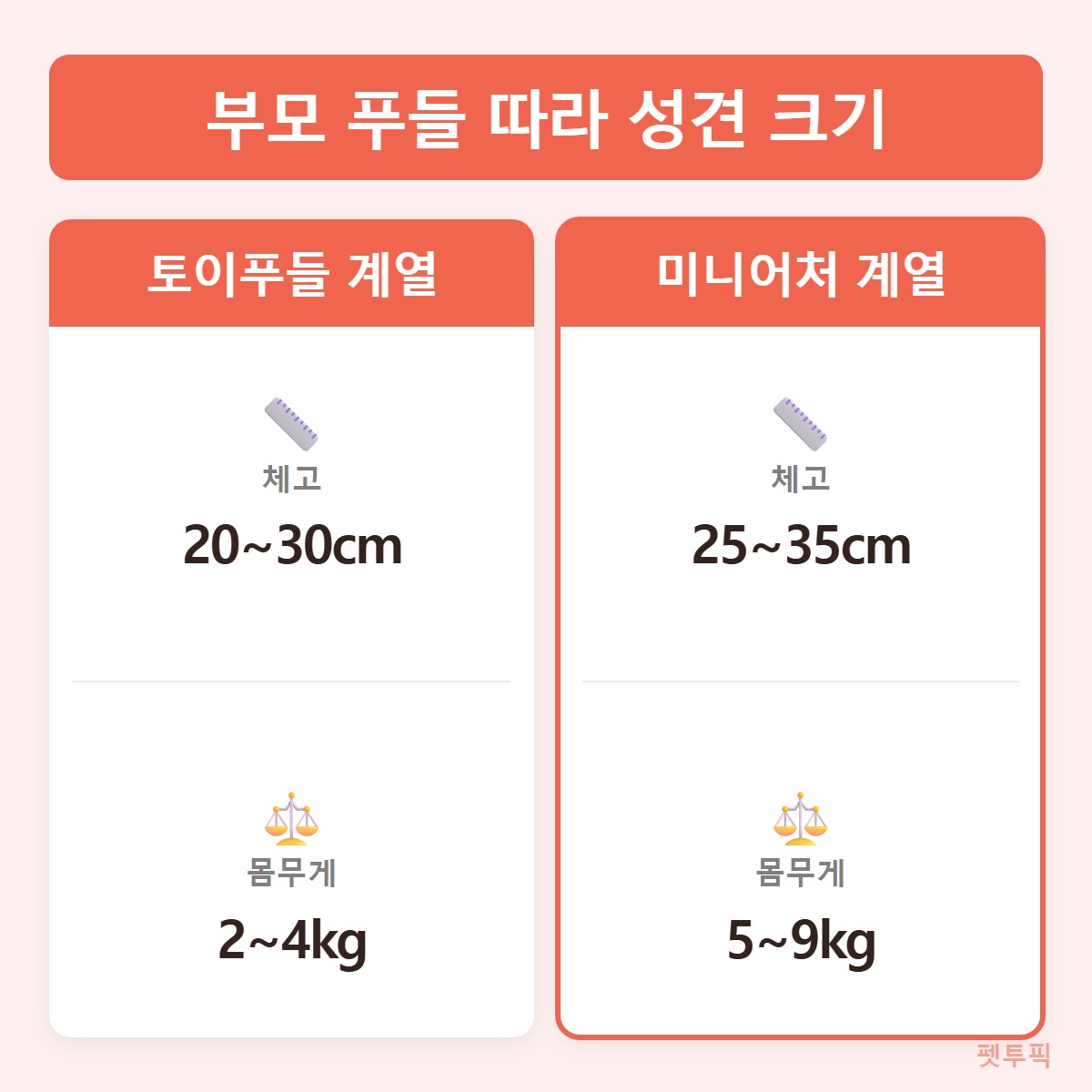 크기비교