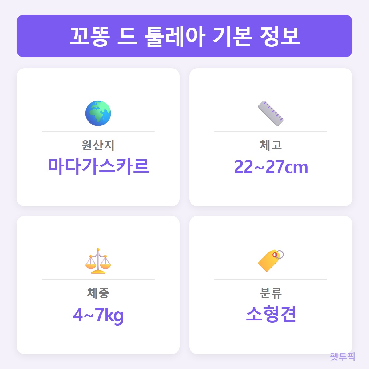 견종스펙