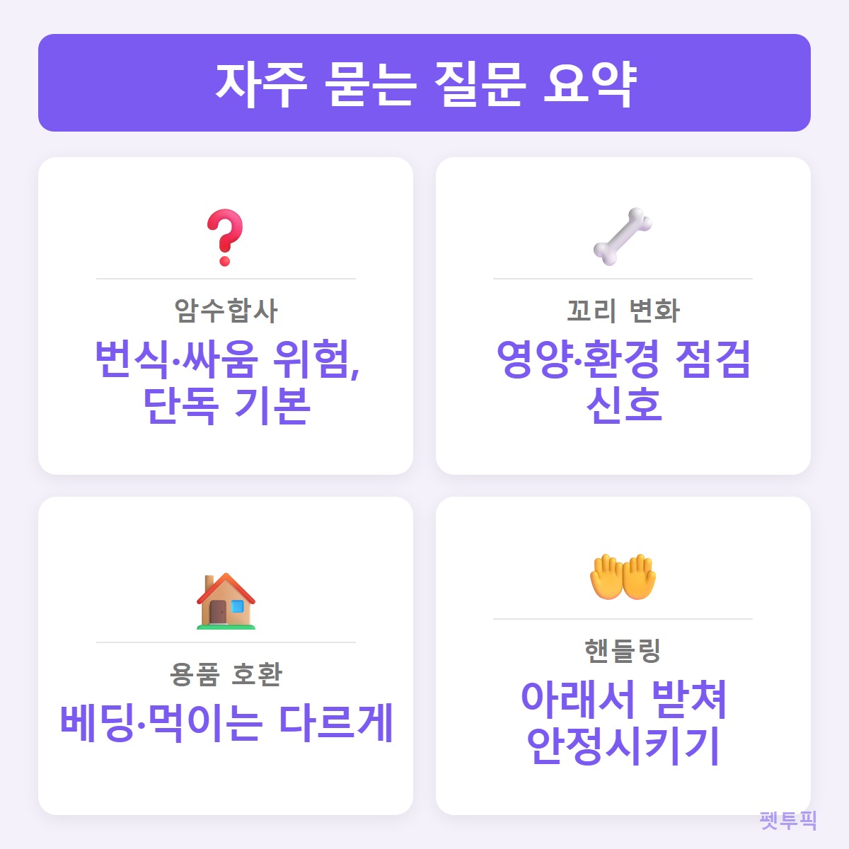 FAQ요약