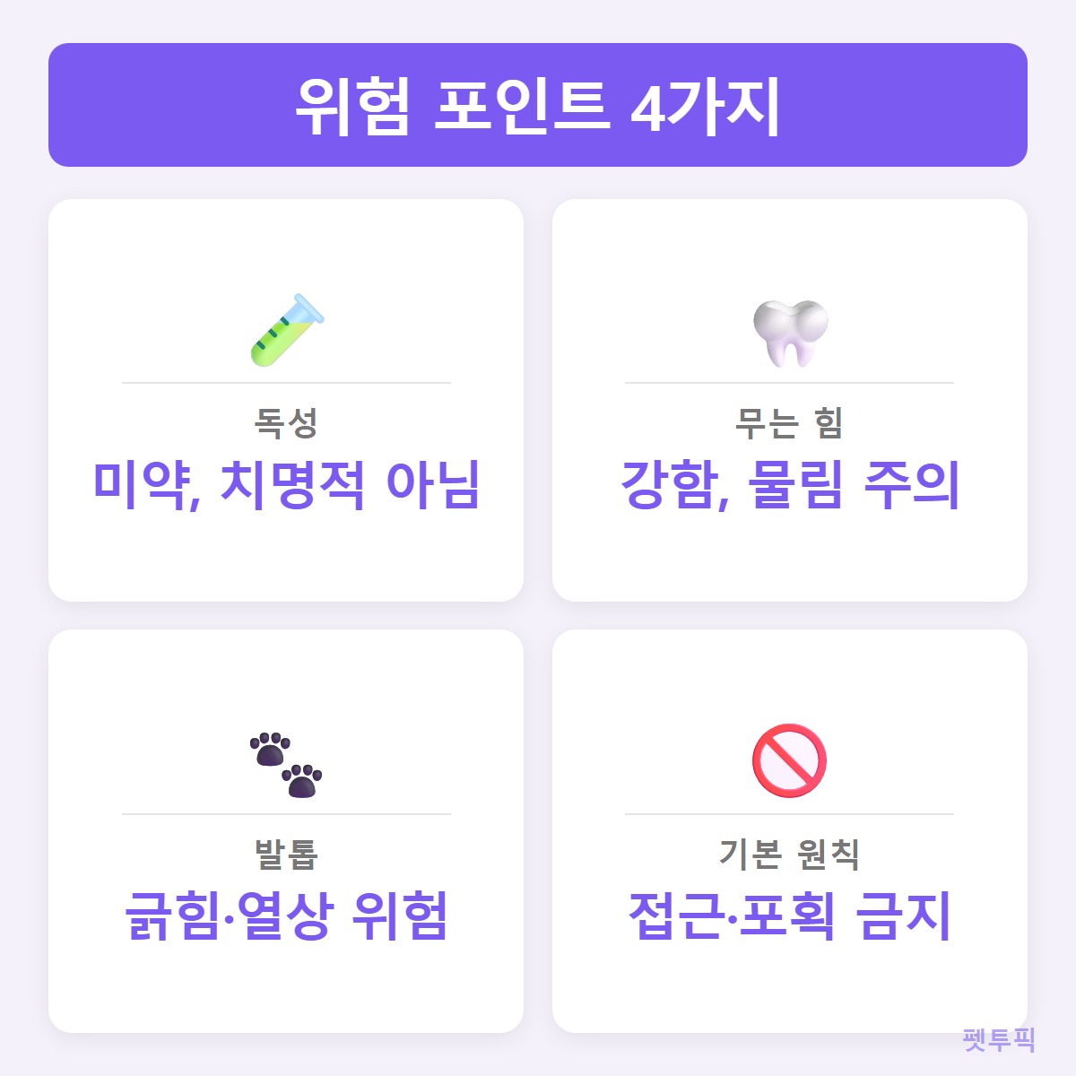 위험포인트