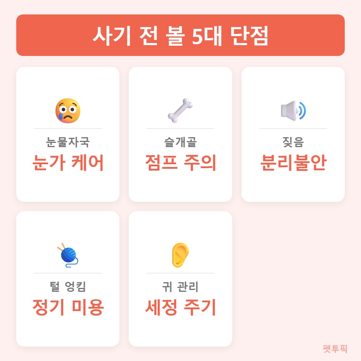 말티푸단점