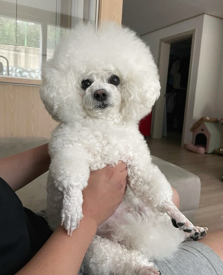 분양전점검
