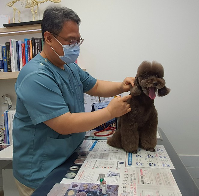 반려동물진료