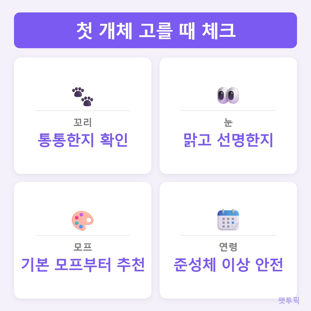 첫개체체크